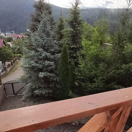 Фрай Yaremche
